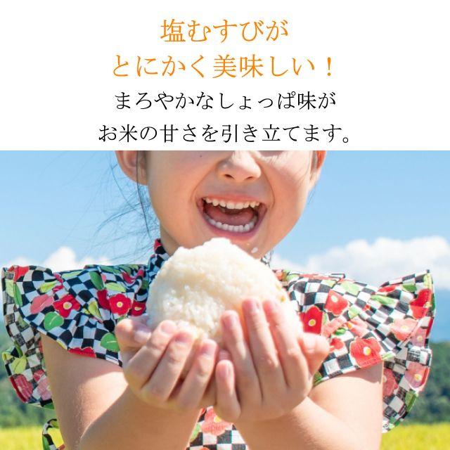 イヤシロソルト スタンドパック 240g 10袋セット  国産 竹塩 還元力 還元塩 食塩 焼塩 天然塩 ソルト 日本製 竹炭 調味料 おにぎり |  | 12