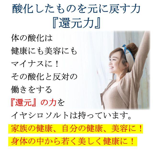 イヤシロソルト スタンドパック 240g 10袋セット  国産 竹塩 還元力 還元塩 食塩 焼塩 天然塩 ソルト 日本製 竹炭 調味料 おにぎり |  | 06