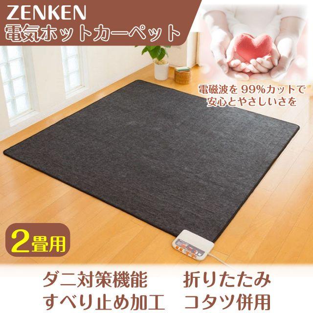 種類1：1畳用 ホットカーペット 1畳 2畳 電磁波99%カット 電気