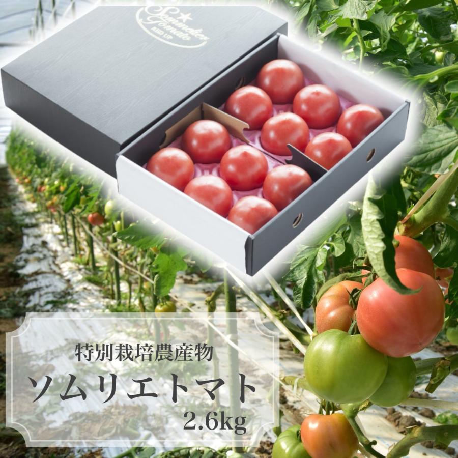 予約　１月下旬から順次発送【特別栽培農産物】とまと ＼極み／受賞歴３回！ソムリエ トマト 2.6kg（１０玉〜２０玉) トマトジュース 送料無料 ギフト おいしい | 