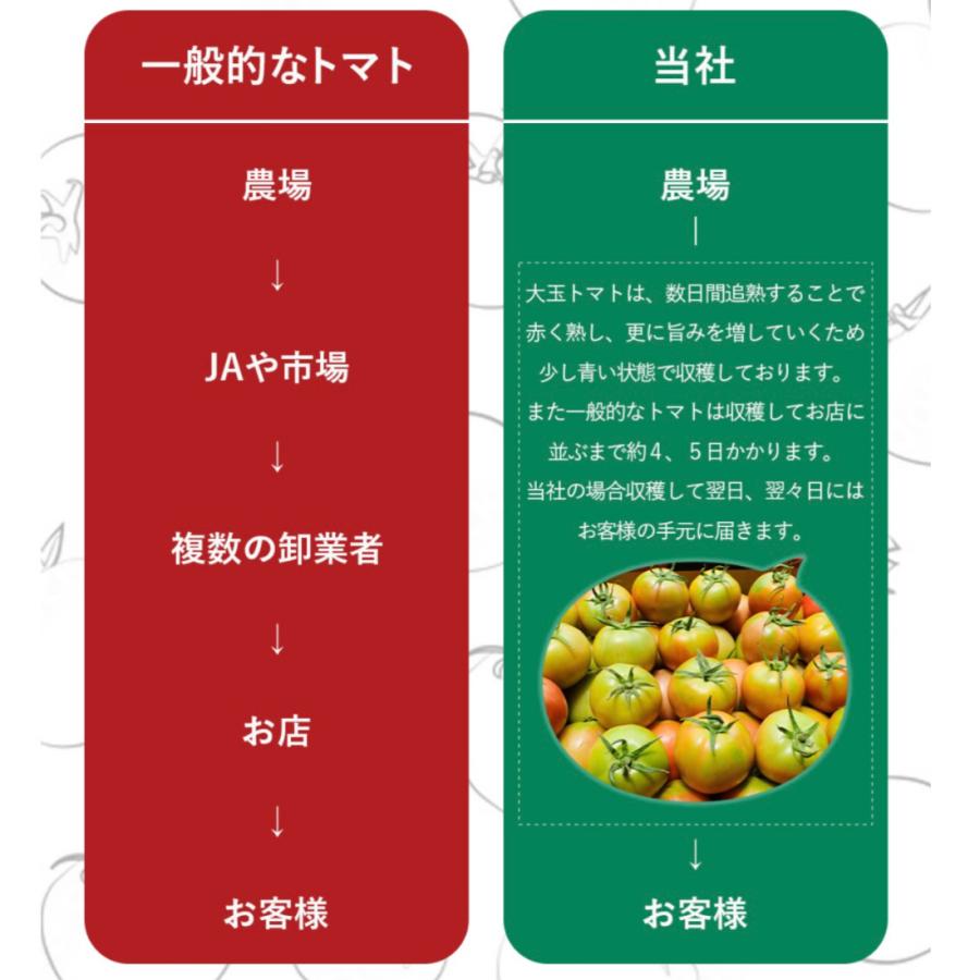 予約　１月下旬から順次発送【特別栽培農産物】とまと ＼極み／受賞歴３回！ソムリエ トマト 2.6kg（１０玉〜２０玉) トマトジュース 送料無料 ギフト おいしい |  | 11