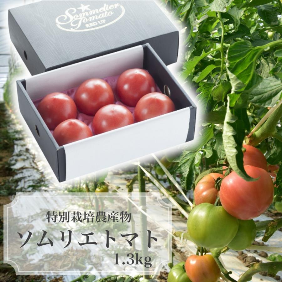 予約　１月下旬から順次発送【特別栽培農産物】 とまと ＼極み／受賞歴３回！ ソムリエ トマト １.３kg（６玉〜１０玉) トマトジュース 送料無料 ギフト 甘い | 