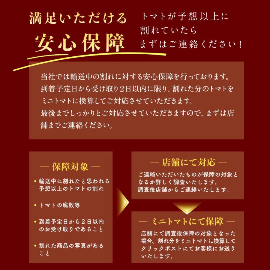 予約　１月下旬から順次発送【特別栽培農産物】 とまと ＼極み／ソムリエ トマト １.３kg（６玉から１０玉）とソムリエ ミニトマト ダイヤ１ｋgのセット ギフト |  | 20