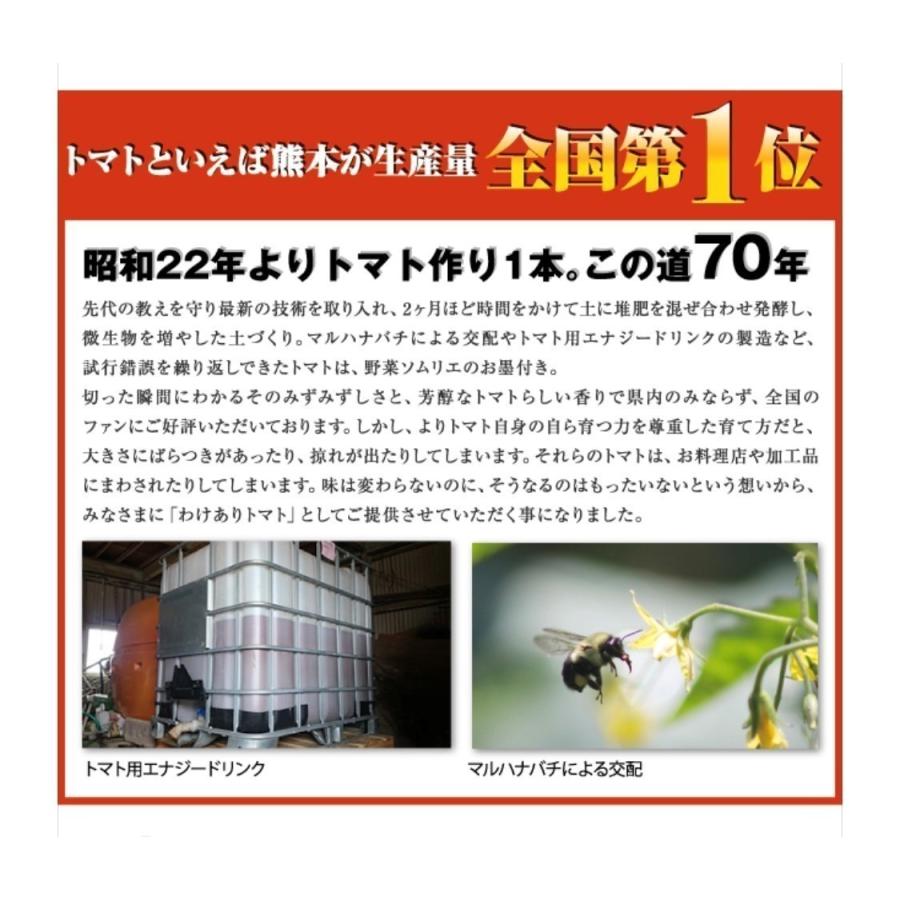 予約 2027年1月下旬から順次発送【特別栽培農産物】 とまと ソムリエ トマト 約８００g とソムリエ ミニトマト プラチナ８００ｇのセット プチトマト ギフト |  | 02