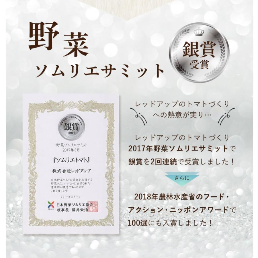 予約 2027年1月下旬から順次発送【特別栽培農産物】 とまと ソムリエ トマト 約８００g とソムリエ ミニトマト プラチナ８００ｇのセット プチトマト ギフト |  | 06