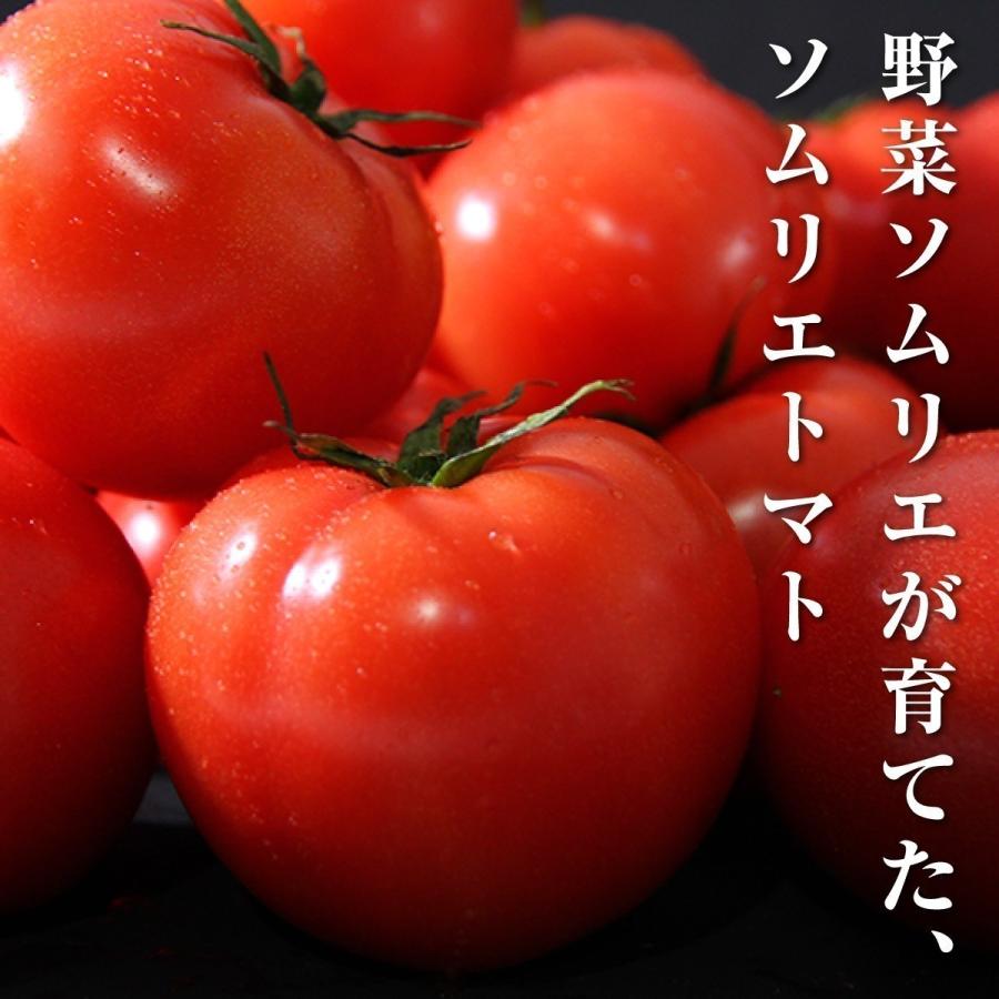 予約 2027年1月下旬から順次発送【特別栽培農産物】 とまと ソムリエ トマト 約８００g とソムリエ ミニトマト プラチナ８００ｇのセット プチトマト ギフト |  | 09