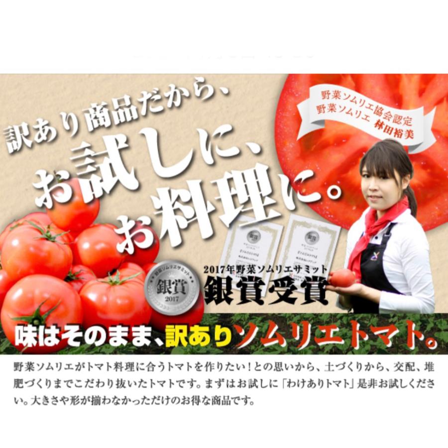 予約　１月下旬から順次発送【特別栽培農産物】＼ 訳あり ／受賞歴３回！ ソムリエ トマト 4〜5kg(18玉〜36玉）(2)のオマケ！ソムリエミニトマト プラチナ |  | 10