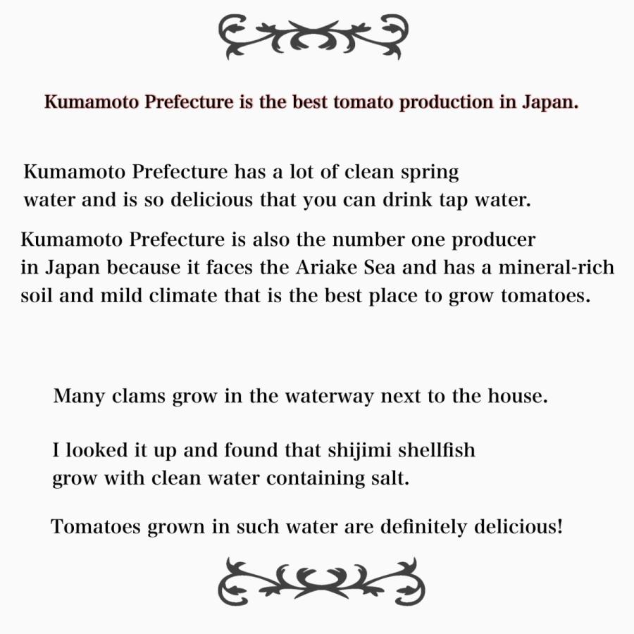 安心の実績 高価 買取 強化中 １２月から発送 極み ソムリエミニトマト ダイヤ３kg １２０玉から２００玉 Wantannas Go Id