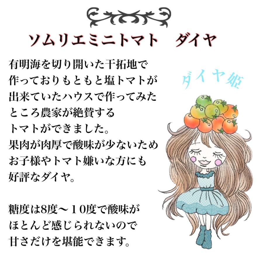 予約　12月から順次発送【特別栽培農産物】 とまと トマト ＼極み／ソムリエ ミニトマト プラチナ１kg とダイヤ１ｋｇのセット フルーツ プチトマト ギフト 甘い |  | 04