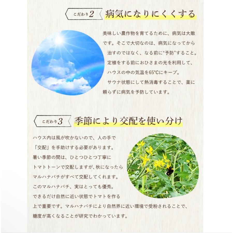 予約　１月から順次発送【特別栽培農産物】 とまと ＼極み／ ソムリエ トマト １.３kg（６玉から１０玉）とソムリエ ミニトマト プラチナとダイヤ各500gのセット |  | 04