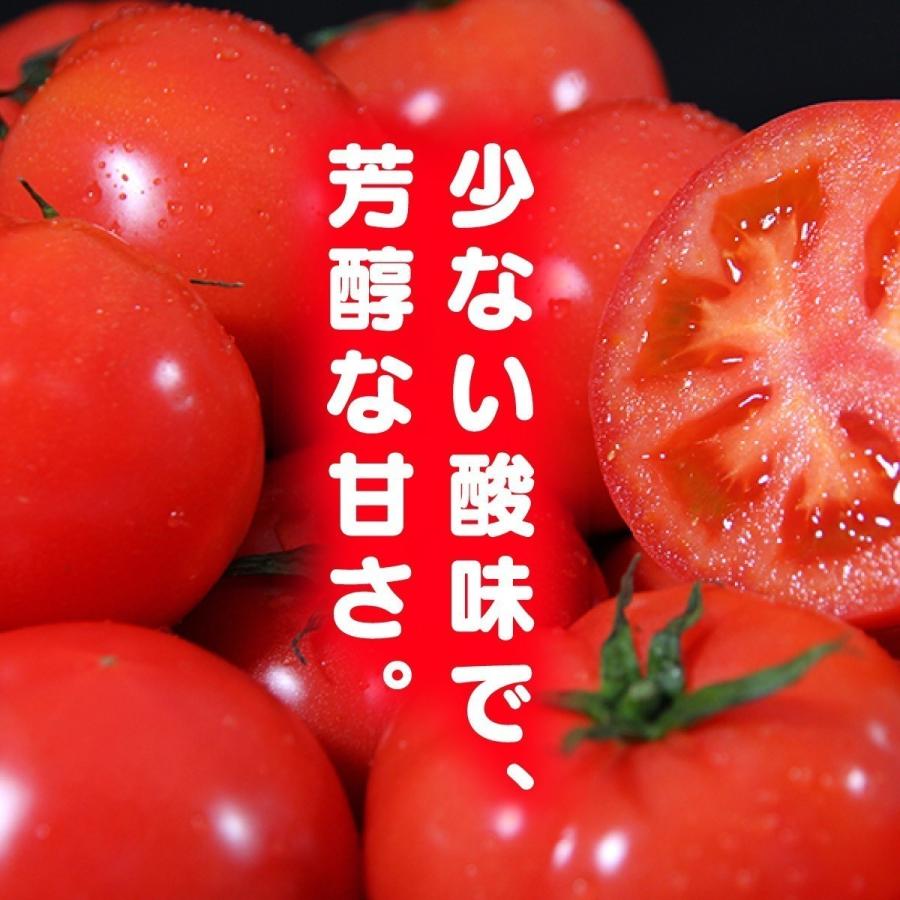 予約　１月から順次発送【特別栽培農産物】 とまと ＼極み／ ソムリエ トマト １.３kg（６玉から１０玉）とソムリエ ミニトマト プラチナとダイヤ各500gのセット |  | 08