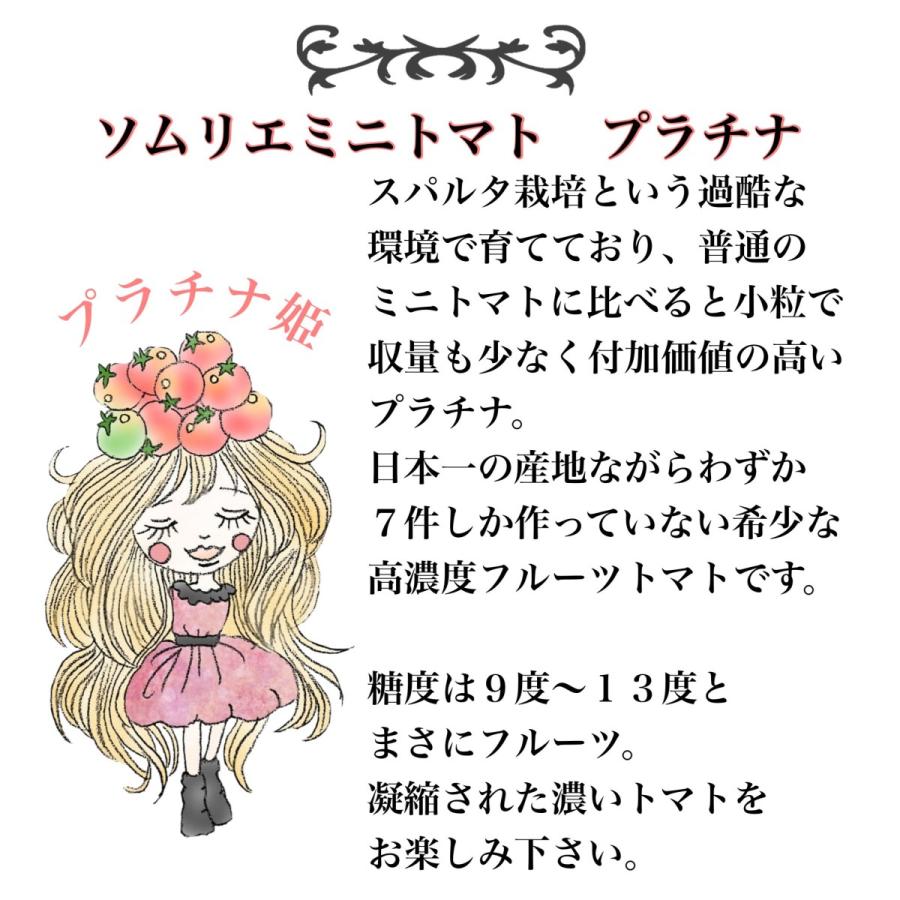 予約　１月から順次発送【特別栽培農産物】 とまと ＼極み／ ソムリエ トマト １.３kg（６玉から１０玉）とソムリエ ミニトマト プラチナとダイヤ各500gのセット |  | 09
