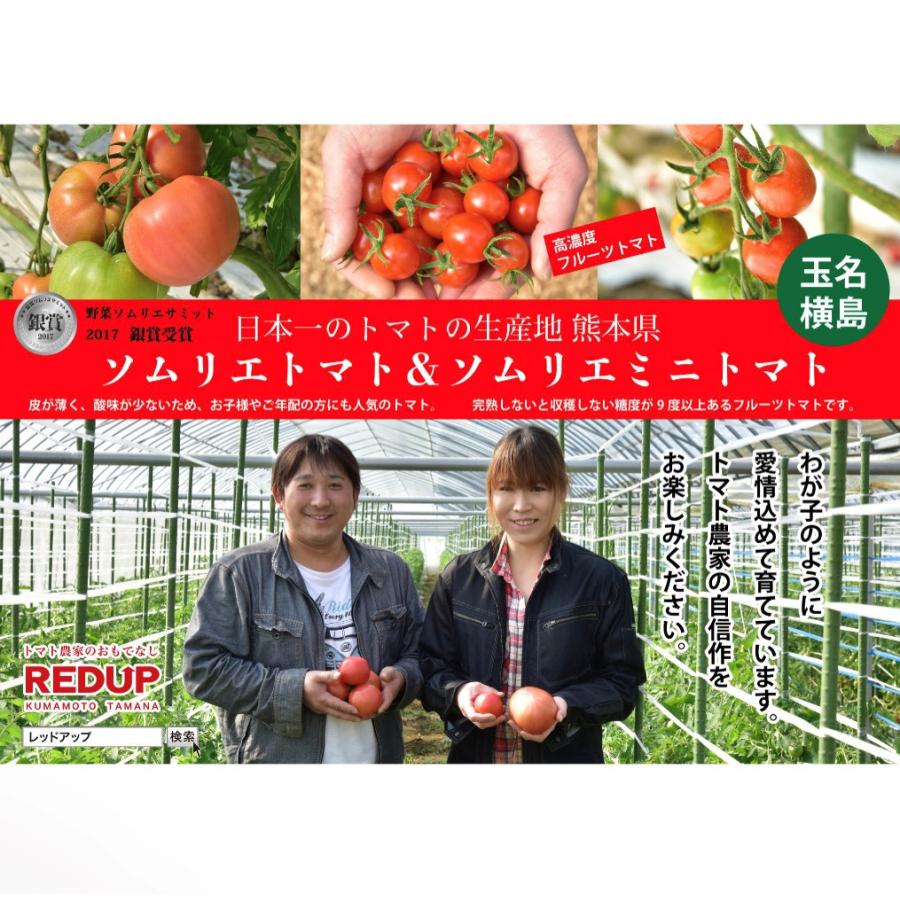 予約　11月から順次発送【特別栽培農産物】 とまと みにとまと ソムリエ ミニトマト ダイヤ１kg（６０玉から９０玉） プチトマト 熊本 送料無料 甘い |  | 15