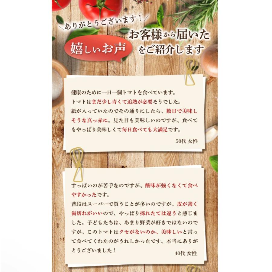 予約　１月下旬から順次発送【特別栽培農産物】＼ 訳あり ／受賞歴３回！ ソムリエ トマト 4〜5kg(18玉〜36玉）(3)のオマケ！ソムリエミニトマト ダイヤ |  | 17