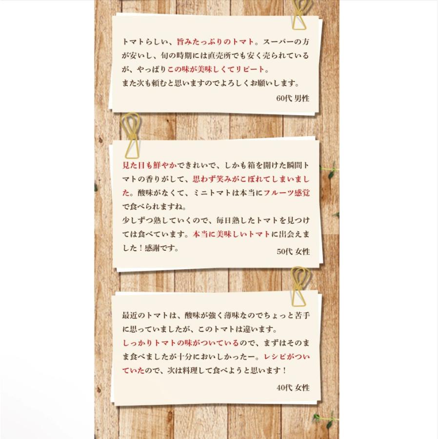 予約　１月下旬から順次発送【特別栽培農産物】＼ 訳あり ／受賞歴３回！ ソムリエ トマト 4〜5kg(18玉〜36玉）(3)のオマケ！ソムリエミニトマト ダイヤ |  | 18