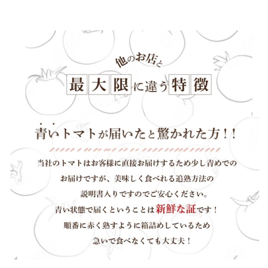 予約　１月下旬から順次発送【特別栽培農産物】＼ 訳あり ／受賞歴３回！ ソムリエ トマト1.8〜2.8kg(8玉〜16玉）(2)のオマケ！ソムリエミニトマト プラチナ |  | 14