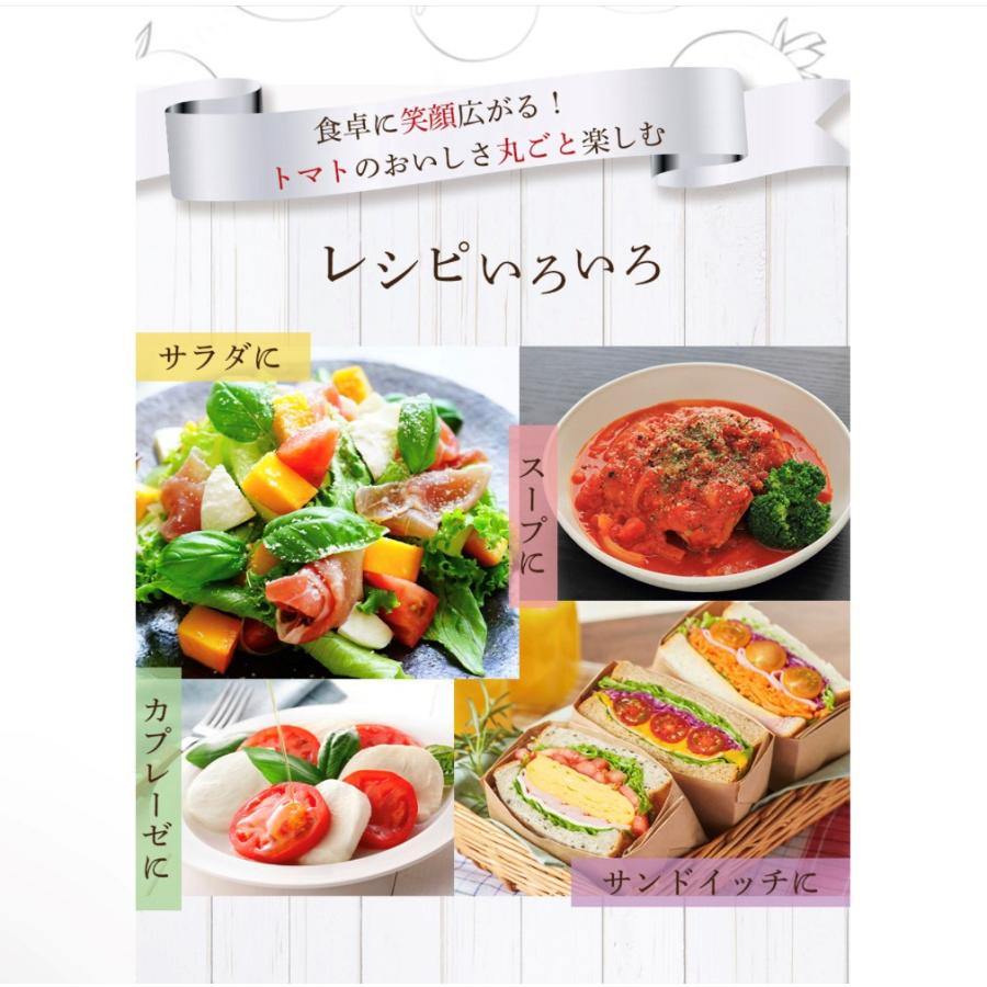 予約　１月下旬から順次発送【特別栽培農産物】＼ 訳あり ／受賞歴３回！ ソムリエ トマト1.8〜2.8kg(8玉〜16玉）(2)のオマケ！ソムリエミニトマト プラチナ |  | 16