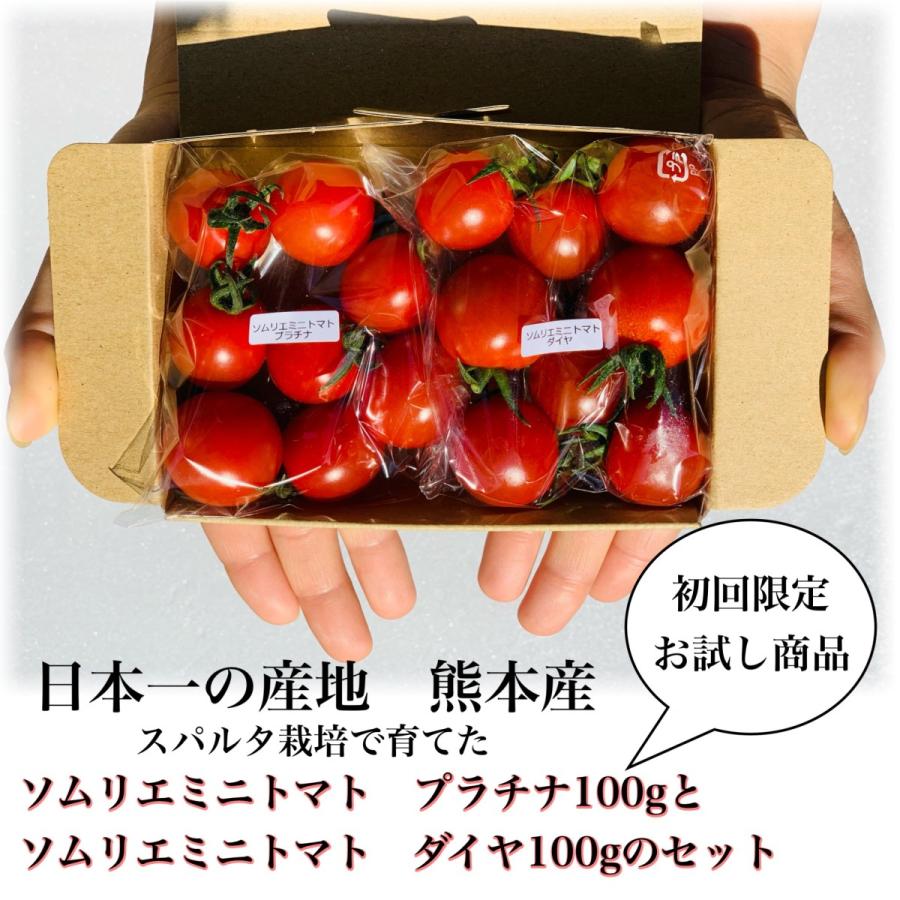 お値打ち価格で 最も信頼できる １２月から発送 初回限定お試し ソムリエミニトマト プラチナ100gとダイヤ100gの食べ比べセット kato-souken.jp kato-souken.jp