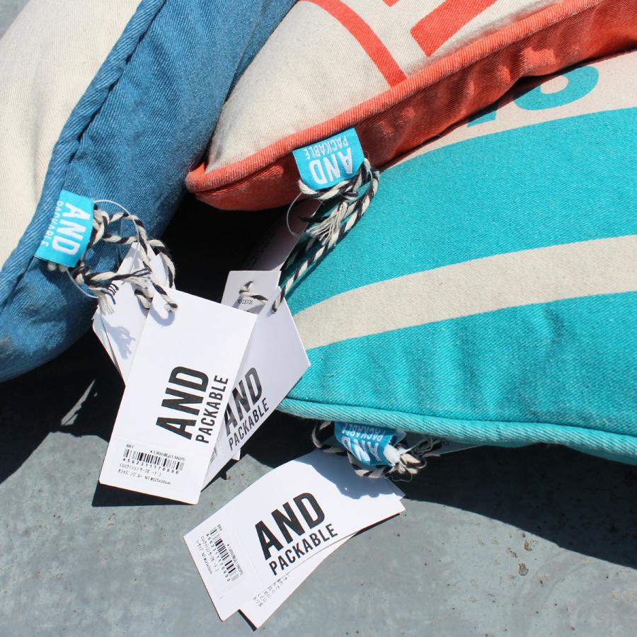 AND PACKABLE アンド パッカブル Cushion Surf Board クッション 