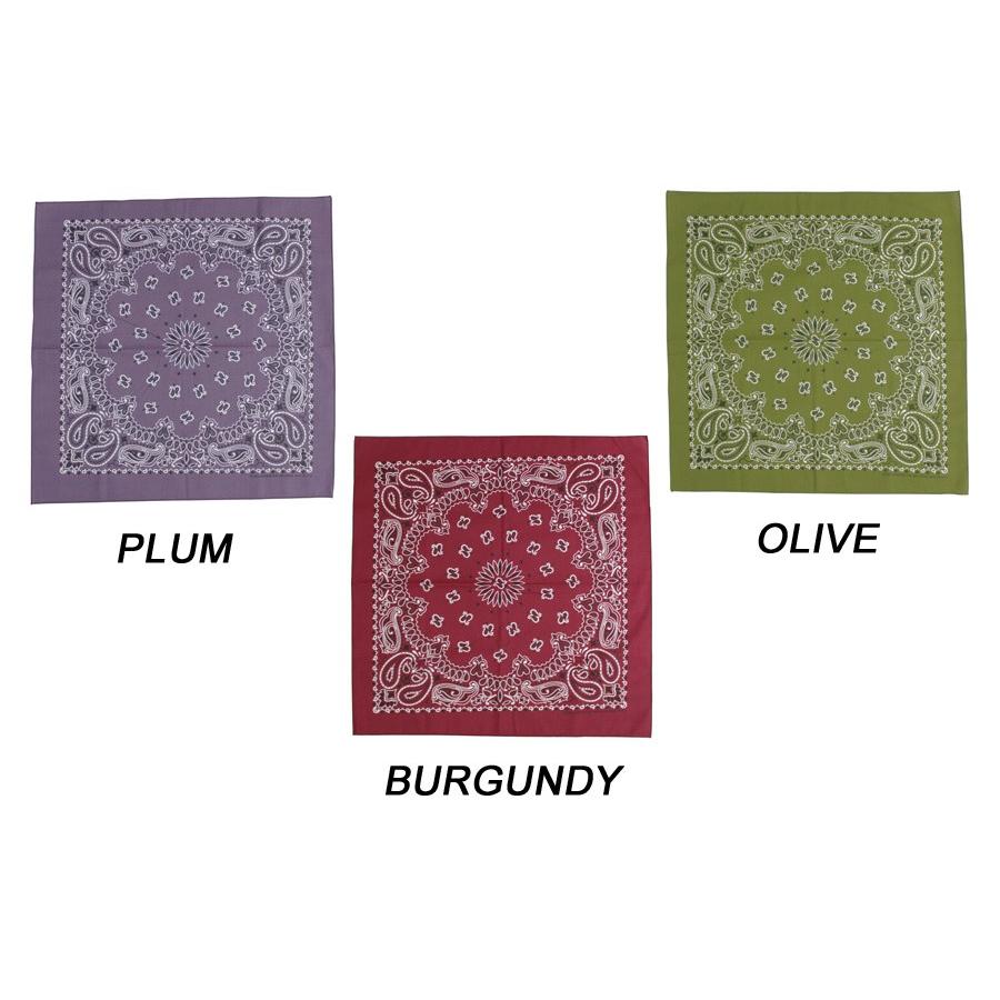 ハバハンク HAV-A-HANK / MADE IN U.S.A. ペイズリーバンダナ PAISLEY