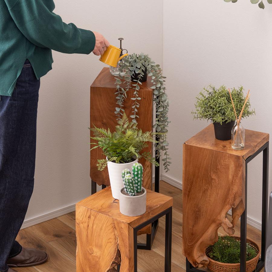 プランタースタンド プランターラック グリーン 観葉植物 置き台 プランタースタンド プランターラック グリーン 観葉植物 置き台