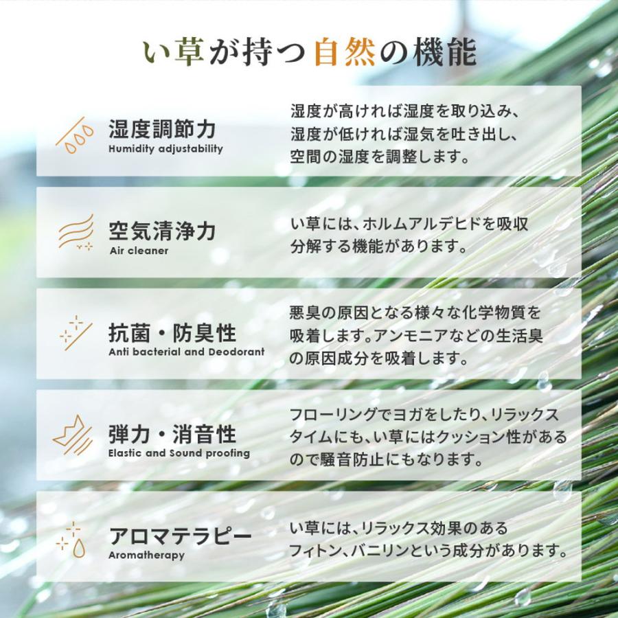 い草 カーペット ラグ 敷きつめ 261×352 cm 江戸間 6帖 フローリング 床 傷防止 保護 消臭 調湿 茣蓙 ゴザ 天然 ナチュラル 和モダン 洋室 和室 裏地付_10