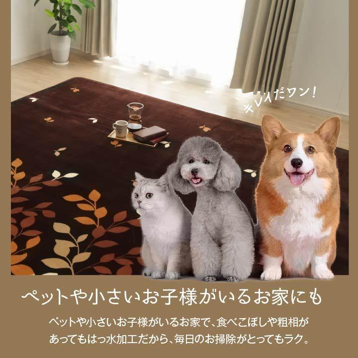 超大判 犬柄 USA製 ラグ マット フリンジ付き 170×130 キャバリア 特大