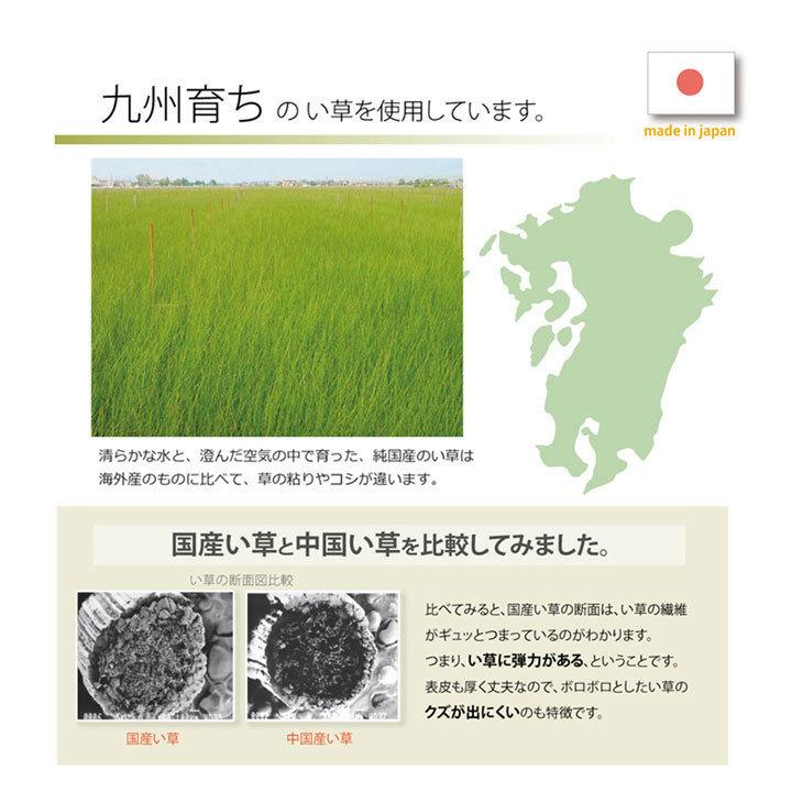 置き畳 ユニット畳 82cm 4枚セット 2畳 い草 おしゃれ 正方形 国産 日本製 フローリング 畳 軽量 シンプル 和風 和室 子ども 赤ちゃん ペット 安全 新生活_6