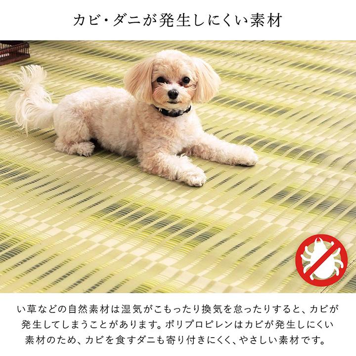 カーペット ダイニングマット ペットマット 犬 猫 ペットシート 丸洗い 水洗い 敷き詰め 本間 6畳 286.5×382 PP 日本製 ダニ アトピー アレルギー ポイント利用_8