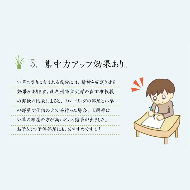 ラグ 夏 ひんやり い草 カーペット 涼しい 涼感 和モダン 和柄 おしゃれ 2畳 191×191cm 正方形 高級 国産 日本製 快適 涼しい 調湿 空気清浄 裏地付 不織布_16