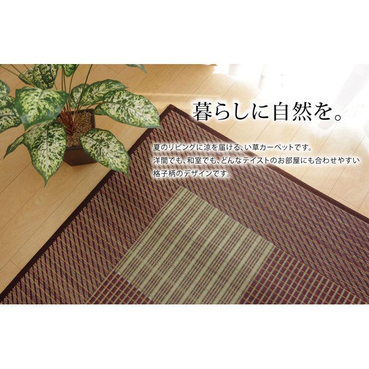 ラグ 夏 ひんやり い草 カーペット 涼しい 涼感 和モダン 和柄 おしゃれ 2畳 191×191cm 正方形 高級 国産 日本製 快適 涼しい 調湿 空気清浄 裏地付 不織布_5