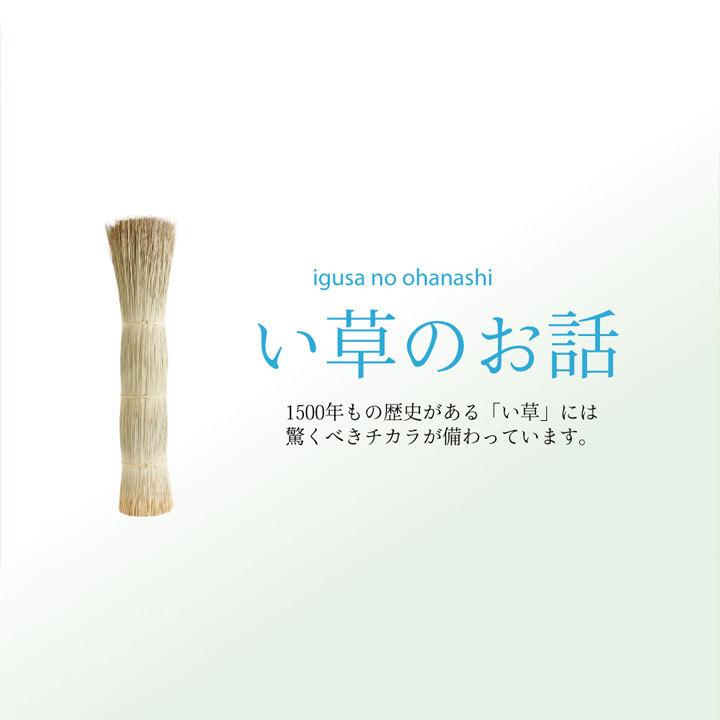 ラグ 夏 ひんやり い草 カーペット 涼しい 涼感 和モダン 和柄 おしゃれ 2畳 191×191cm 正方形 高級 国産 日本製 快適 涼しい 調湿 空気清浄 裏地付 不織布_11