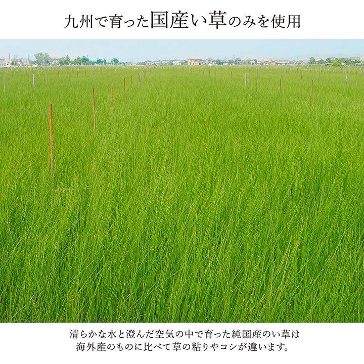 い草 敷きつめ 10畳 477×382cm 花 ござ ラグ カーペット おしゃれ 和モダン 日本製 国産 高級 ひんやり 涼感 夏快適 クール cool 涼しい 調湿 抗菌 消臭 天然