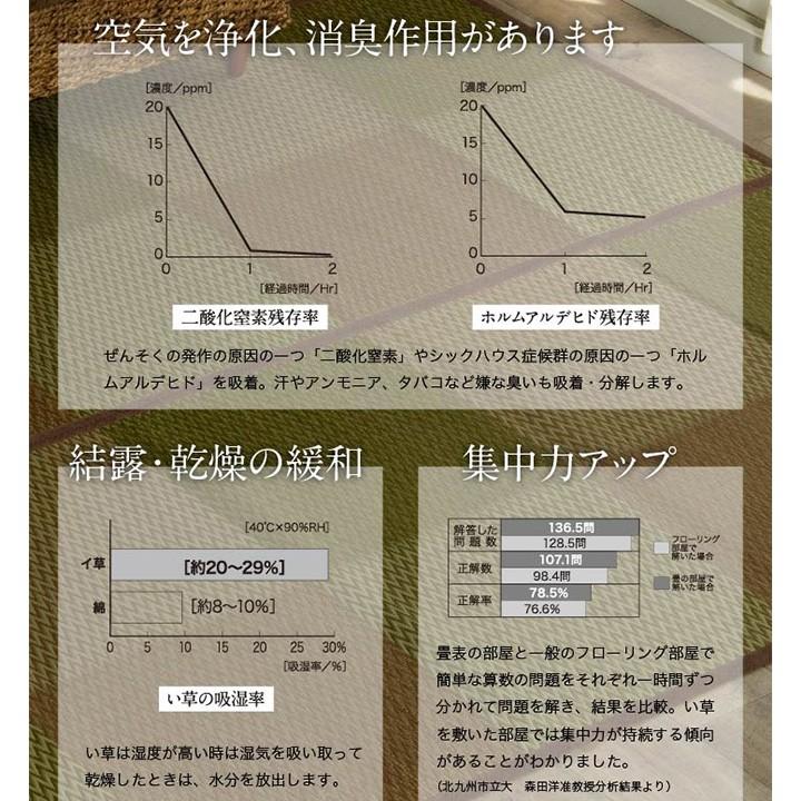 い草 ラグ 畳ラグ カーペット 8畳 382×382cm 冷感 ひんやり 涼感 梅雨 夏快適 涼しい 調湿 おしゃれ 和 モダン ブロック柄 タイル柄 デザイン 抗菌 正方形_6