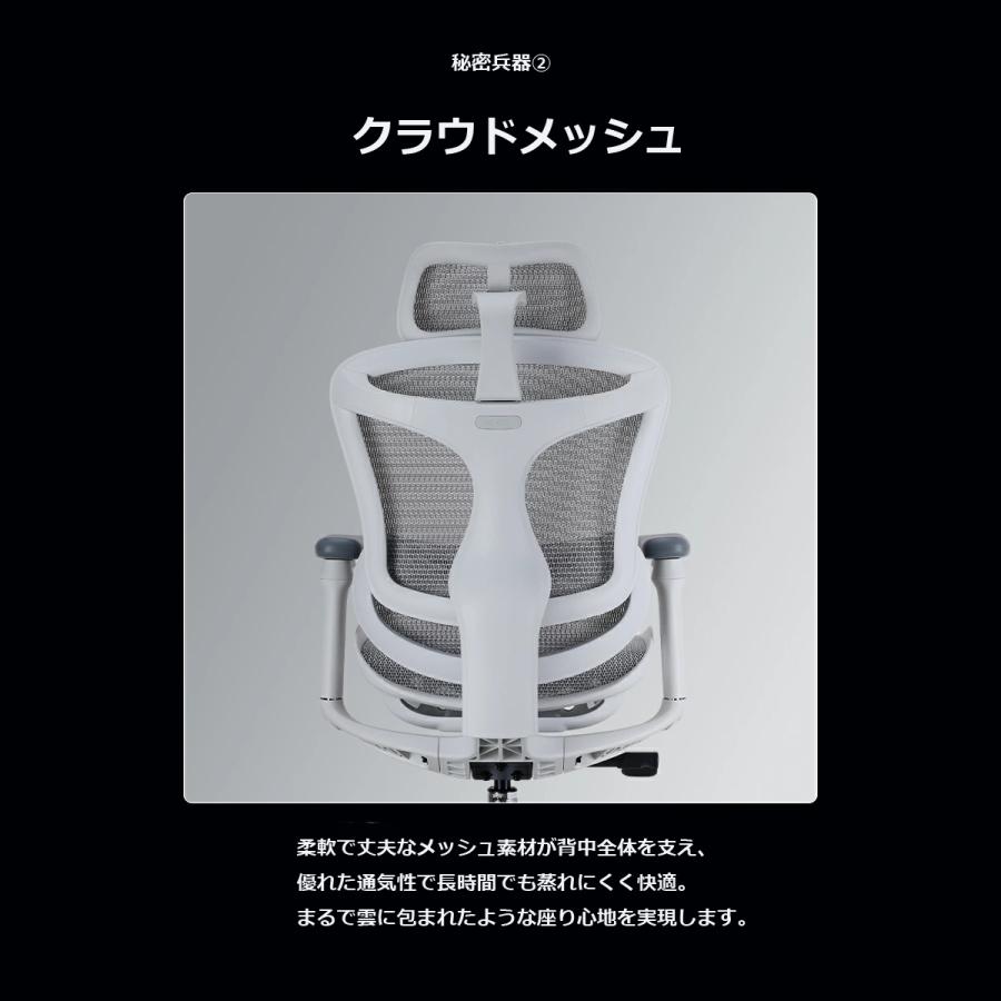 オフィスチェア 腰痛 デスクチェア pcチェア ワークチェア パソコンチェア 高機能チェア SIHOO Doro C300 リクライニング アームレスト ヘッドレスト_14
