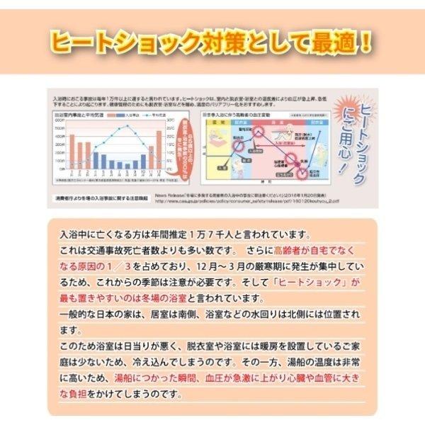 高須産業 浴室換気乾燥暖房機 BF-261RGA 天井用 ヒートショック 浴室暖房 浴室乾燥 浴室暖房乾燥 グラファイトヒーター 取付工事費込5年保証+ランドリーパイプ付