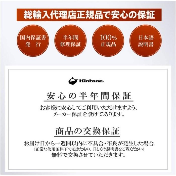 ミニセグウェー KINTONE キントーン オフロードモデル 正規品 バランス 