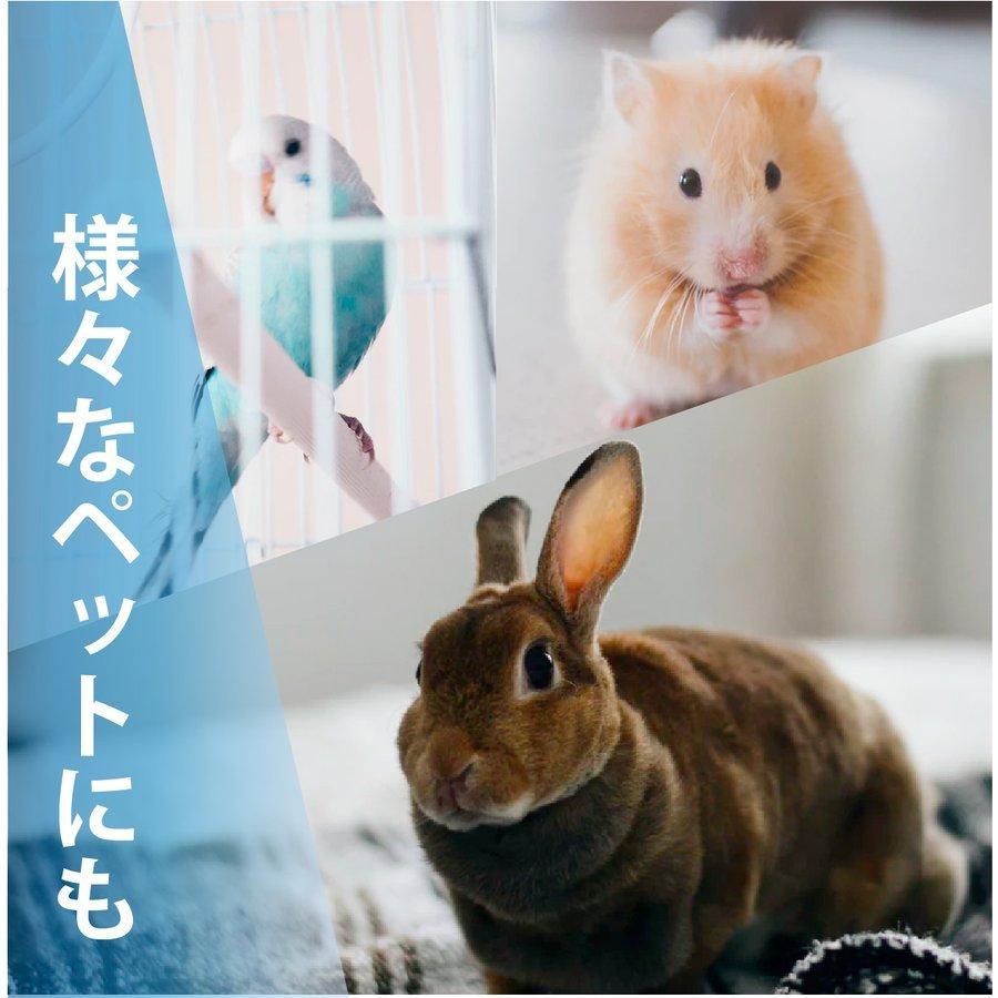 ペット用 除菌もできる 消臭スプレー AiPeletty アイペレッティー 詰替え用 4.8L い 次亜塩素酸ナトリウム 無香料 犬 猫 |  | 06