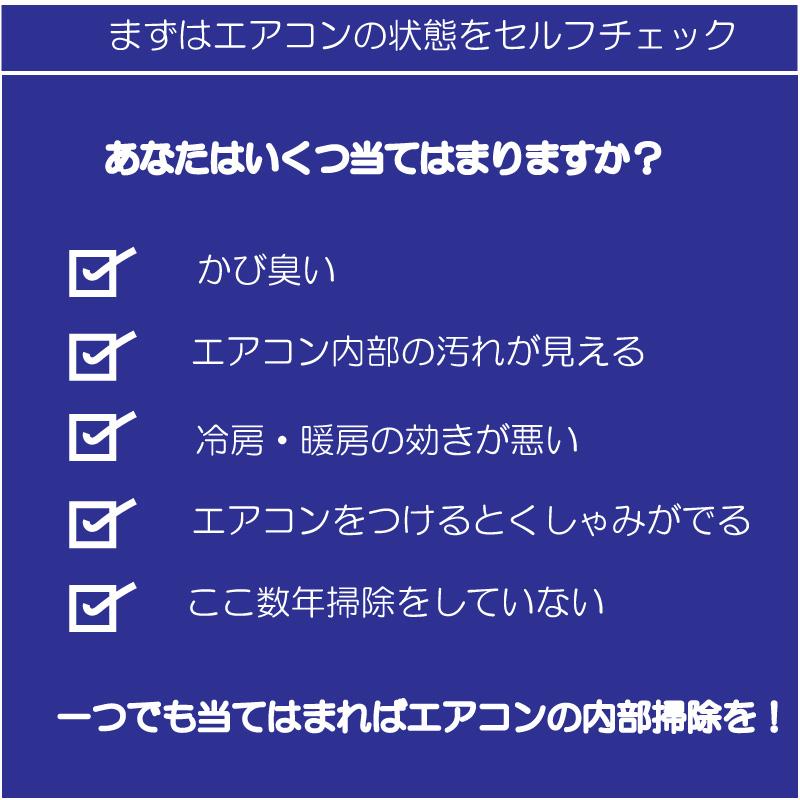 エアコン内部クリーナーシュ！シュ！  エアコン用洗剤  エアコンクリーナー 除菌 省エネ 節電 |  | 01