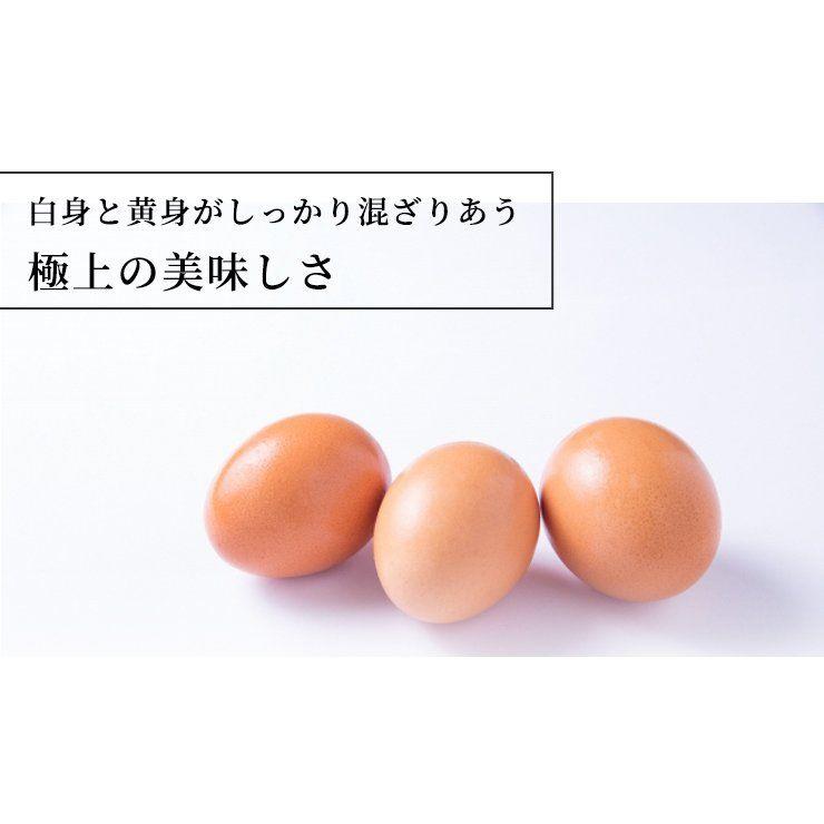 卵溶き器 ときここち Soji トネ製作所 卵混ぜ溶き専用器具 卵を絶妙に溶きほぐす 送料無料 |  | 06