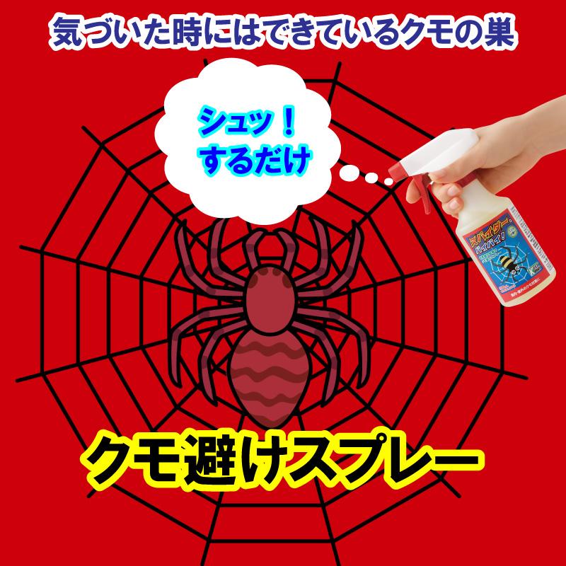 クモ除けスプレー スパイダー バイバイ！ 300ml ×2本セット 蜘蛛除け