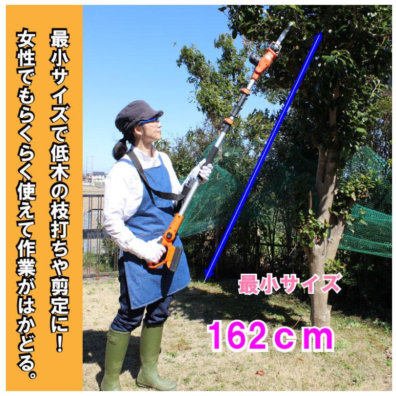 電動のこぎり ヤードフォース 3ｍコードレス高枝電動のこぎりライト 24V2.0Ah LSC21P-JP 充電式  高枝 電動 のこぎり  24Vリチウム(残量ケージ付)  送料無料 | YARD FORCE | 06