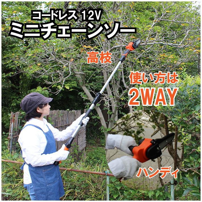 チェーンソー YARD FORCE １２Ｖコードレス高枝チェーンソーミニ LS-A10-JP　 ヤードフォースチェーンソー 電動 軽量 2WAY ミニチェーンソー | YARD FORCE | 01