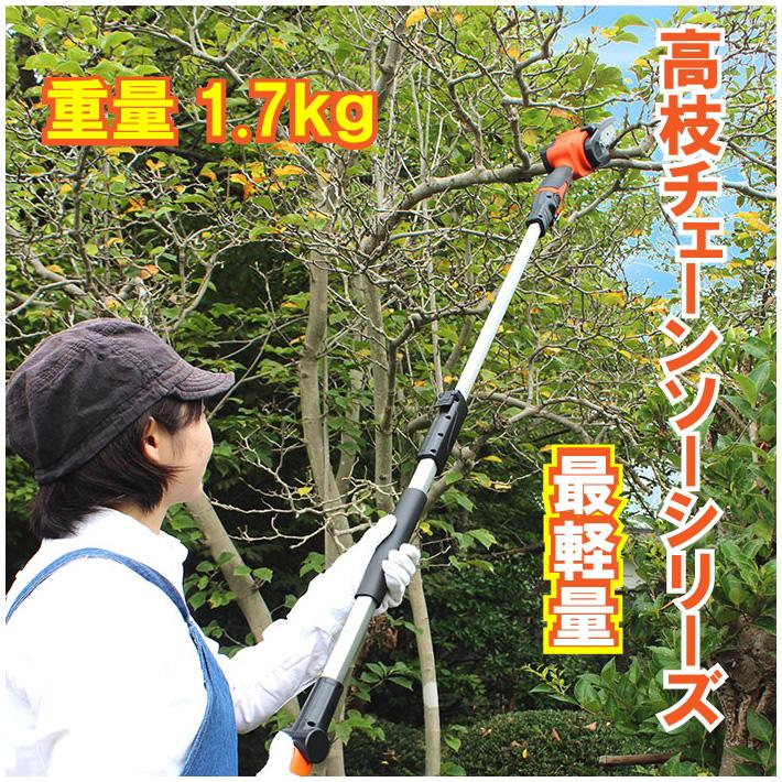 チェーンソー YARD FORCE １２Ｖコードレス高枝チェーンソーミニ LS-A10-JP　 ヤードフォースチェーンソー 電動 軽量 2WAY ミニチェーンソー | YARD FORCE | 02