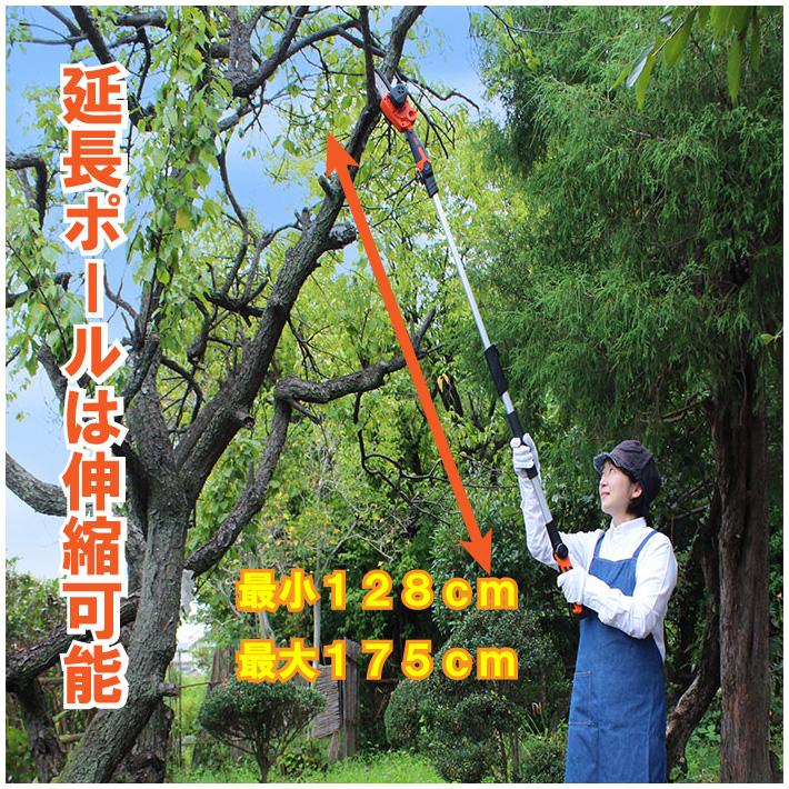 チェーンソー YARD FORCE １２Ｖコードレス高枝チェーンソーミニ LS-A10-JP　 ヤードフォースチェーンソー 電動 軽量 2WAY ミニチェーンソー | YARD FORCE | 03