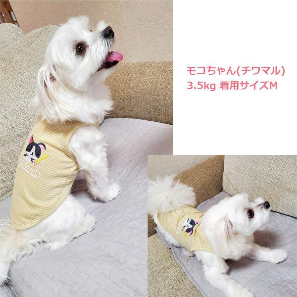 ドッグウェア 犬 犬服 ペットとお揃い ペットウェア ボーダー リンクコーデ ペアルック Tシャツ レディース タンクトップ 犬ワッペン |  | 04