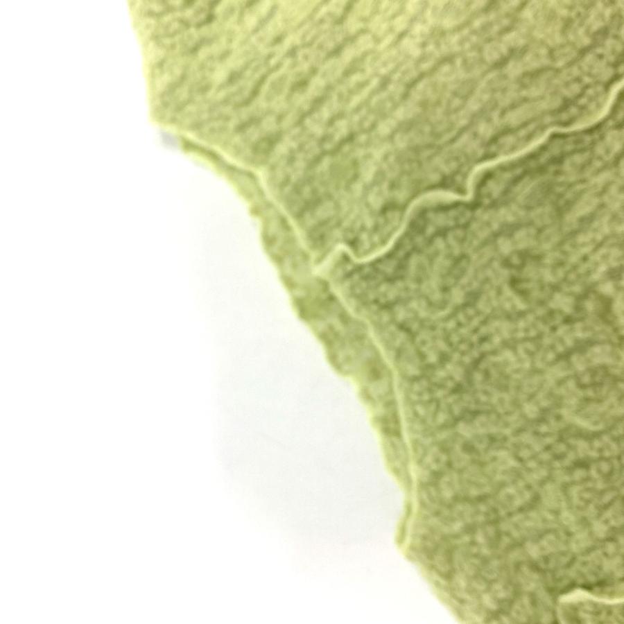 未使用 LE CIEL BLEU ルシェルブルー 25A62203 レースジェシースキントップス アパレル カットソー グリーン レディース【中古】 |  | 09