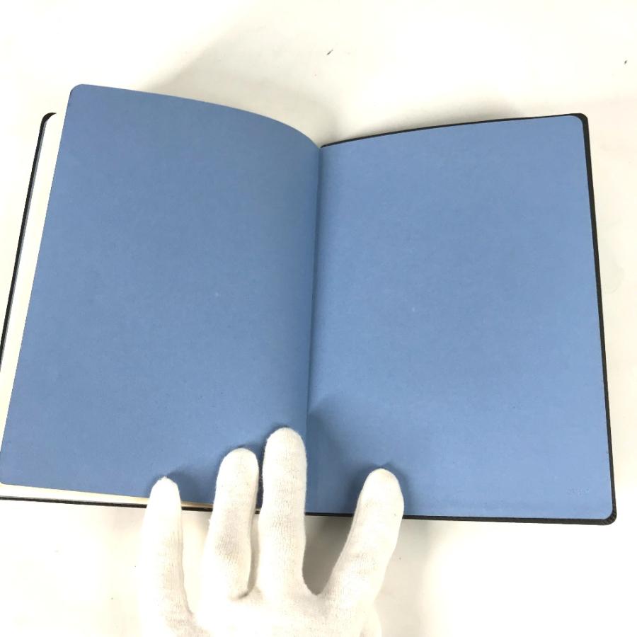 LOUIS VUITTON（ルイ・ヴィトン） 未使用 カイエクレマンス フラワー