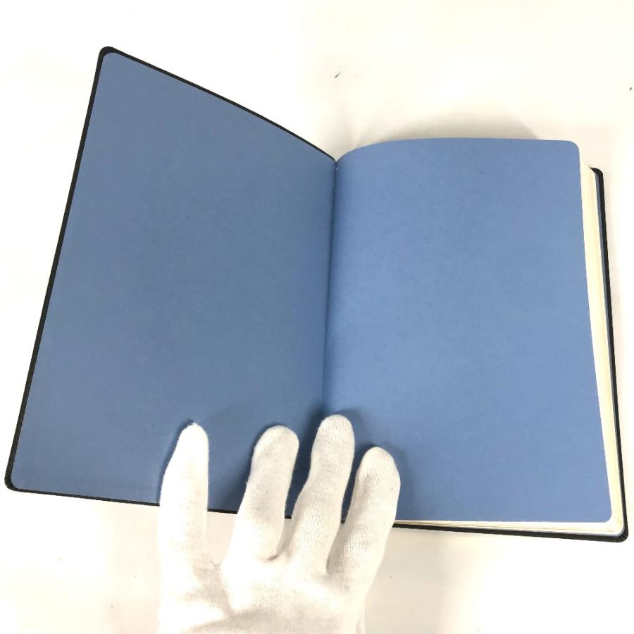 LOUIS VUITTON 未使用 ルイヴィトン カイエクレマンス フラワー