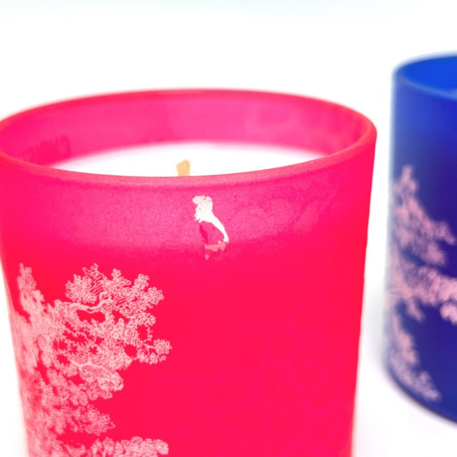 未使用 Dior ディオール トワルドゥジュイ キャンドル セット 3点セット アロマ Dioriviera (ディオリビエラ)2022 コレクション【中古】 |  | 02